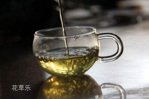 仙人掌茶是仙人掌泡的茶吗？仙人掌茶的功效与作用介绍