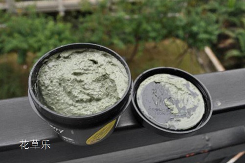 苹果薄荷属于极品薄荷 你知道苹果薄荷的功效与作用吗？