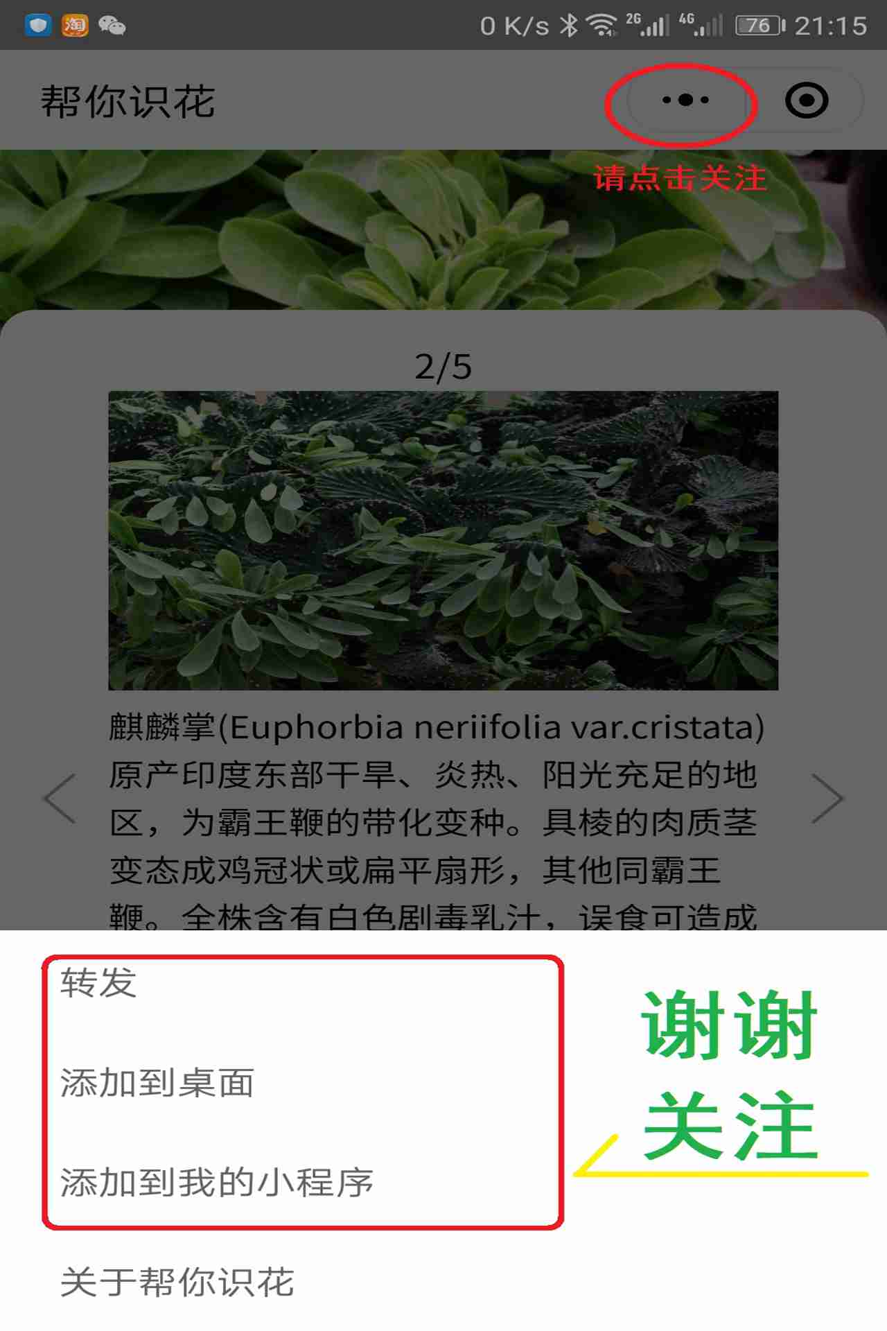 帮你识花小程序，拍照就知道花草名字和养护知识