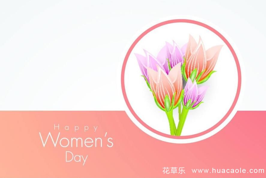 三八妇女节送什么花 给长辈，老婆，朋友