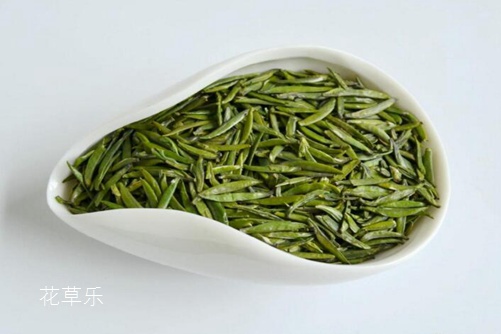 仙人掌茶是仙人掌泡的茶吗？仙人掌茶的功效与作用介绍