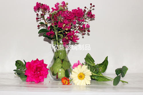 水培风信子花期过后怎么办