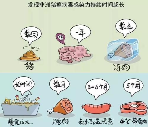 怎样延长非洲紫罗兰花期