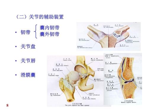 什么方法能让月季花连续开花？月季花连续开花方法