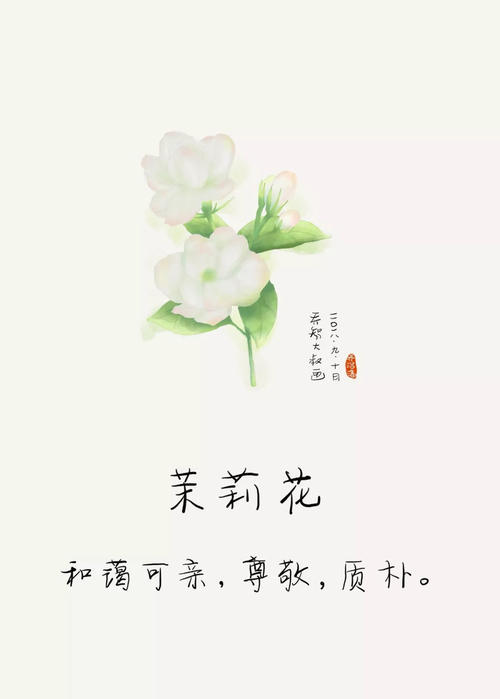 茉莉花形态特征