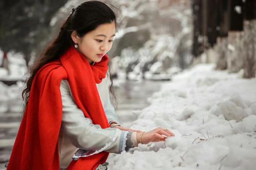 雪下红形态特征