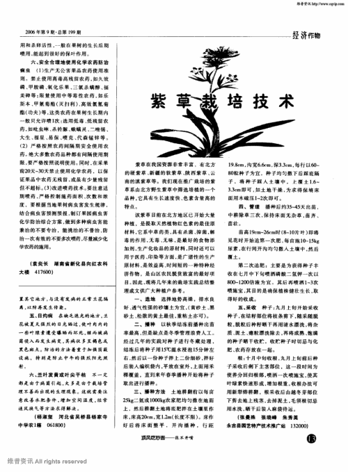 滇紫草形态特征