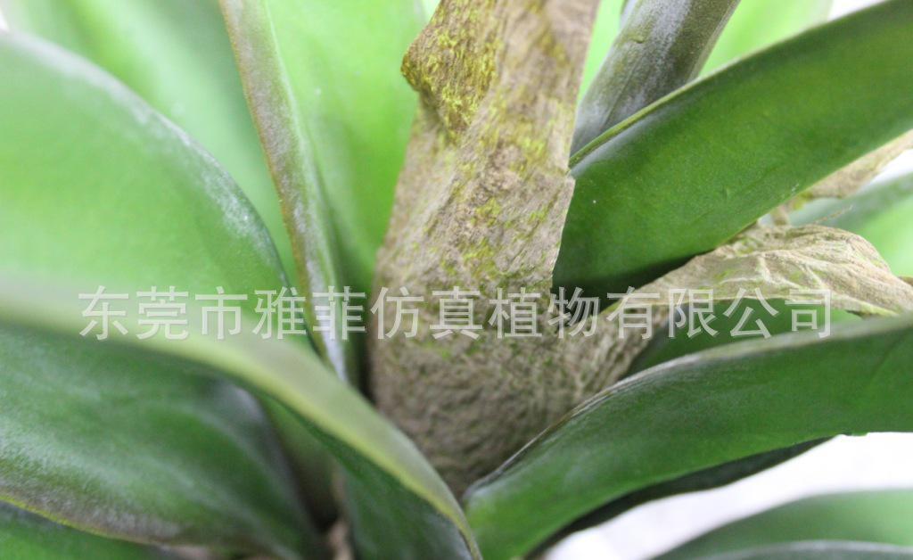 栩栩如生 龙舌兰 仿真龙舌兰 小盆栽 仿真植物厂家