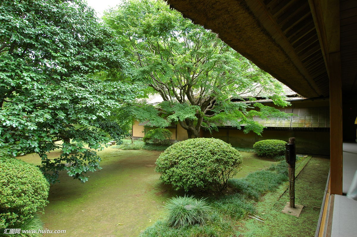 日本,茨城县,庭院,植物,树木,庭院绿化