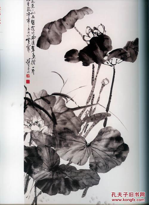 中国画名家作品选粹 荷花