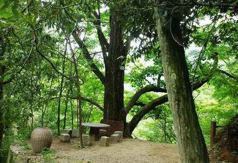 再游木王_秦岭农家土鸡蛋_新浪博客