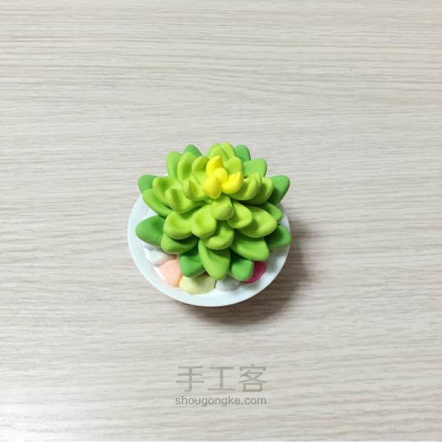 黏土作品图片可爱植物