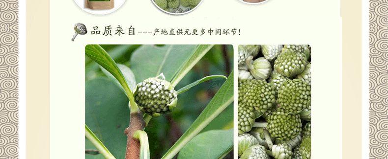 绝对正品西藏特级野生绿萝花绿萝花茶 绿罗花雪丽花500克包邮