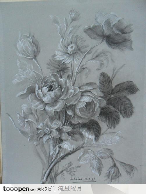 铅笔画素描花朵花卉图片设计背景