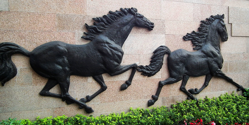 米兰柏羽采风.老熊猫