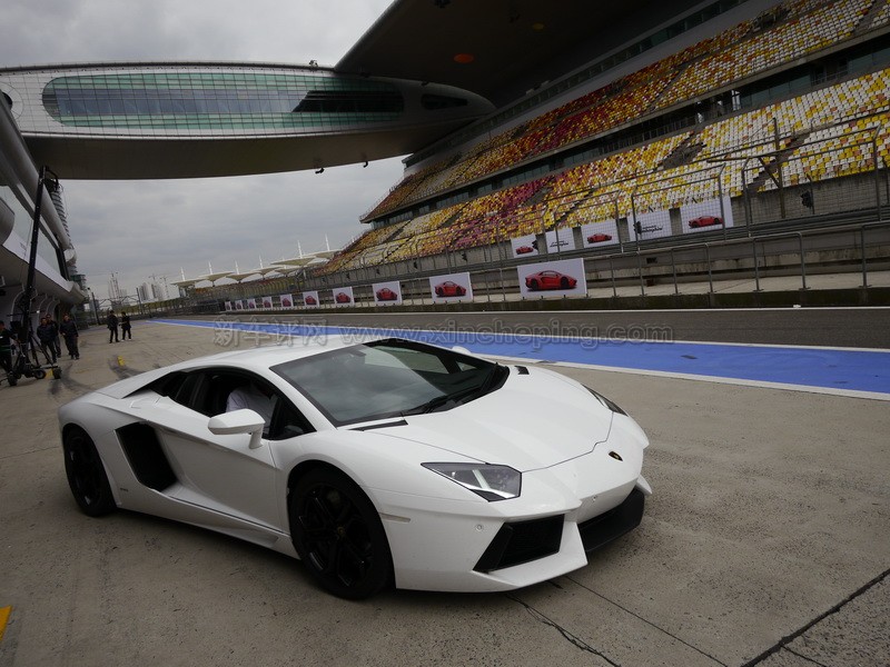 兰博基尼aventador lp700-4图片29大全,兰博基尼 lp-4