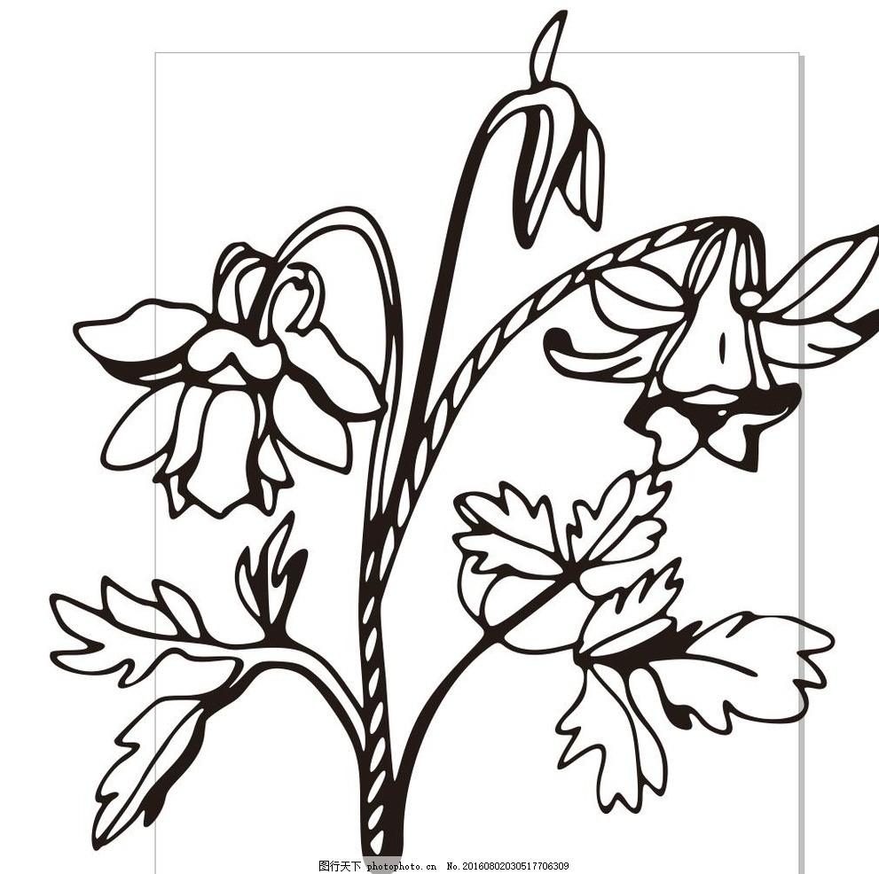 素描花朵 素描植物花朵 简约 简单 时尚 花 简约画 盆栽 植物 花卉