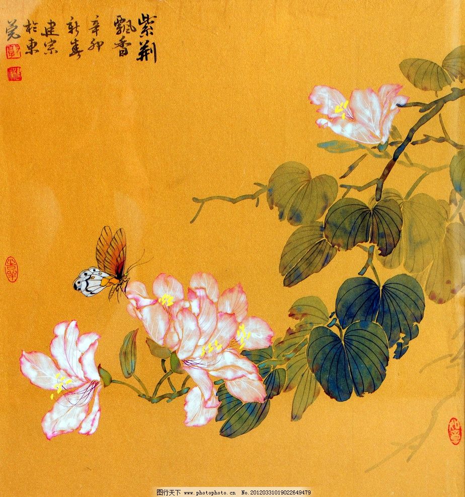 紫荆飘香 美术 中国画 工笔画 花卉画 紫荆花画 紫荆 彩蝶 国画艺术