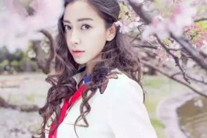 杨颖樱花图片大全