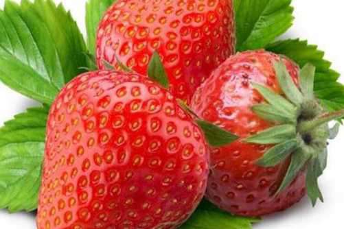 阳台草莓的种植方法，草莓种阳台三招让草莓大又甜