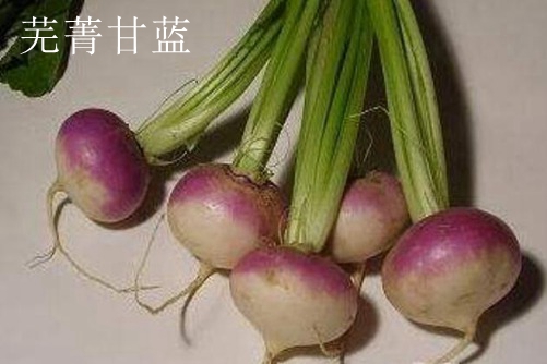 芜菁和芜菁甘蓝的区别，学会这些两点再也担心买错芜菁甘蓝了