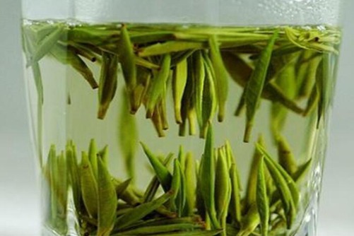 牛蒡茶是一种什么茶，牛抵茶是绿茶吗？