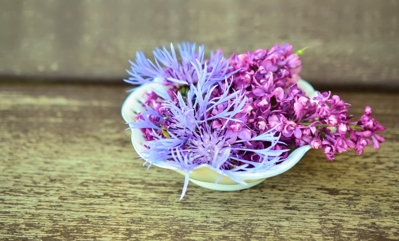 热闹盛开的丁香花图片