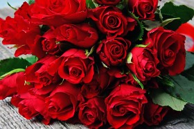 一束漂亮浪漫的玫瑰花图片(36张)