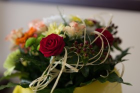 一束娇艳的玫瑰花图片(42张)