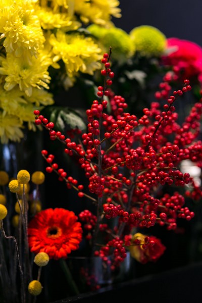 五颜六色的鲜花图片