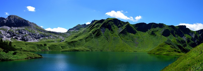 绿色的草地风景图片