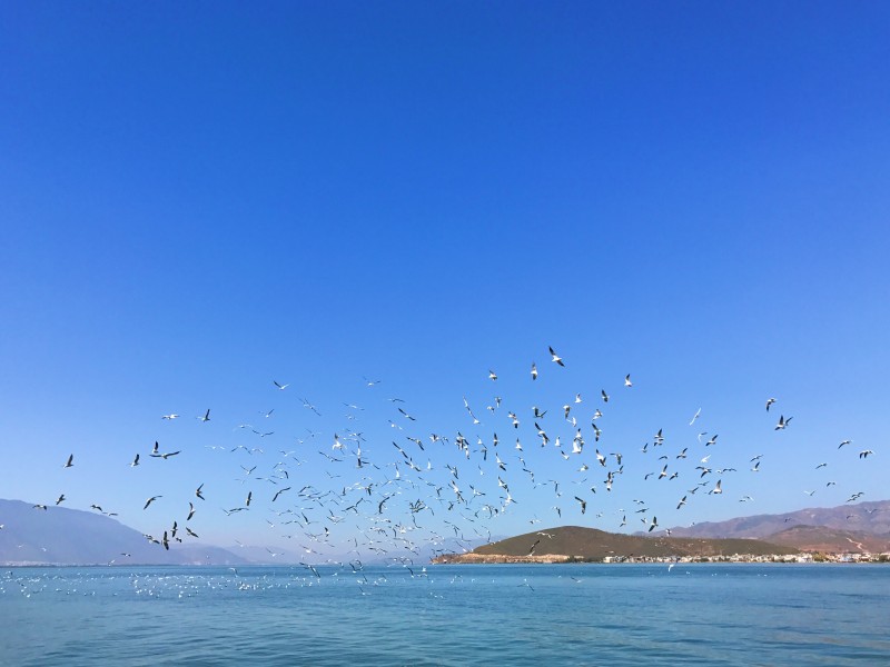 云南大理洱海自然风景图片