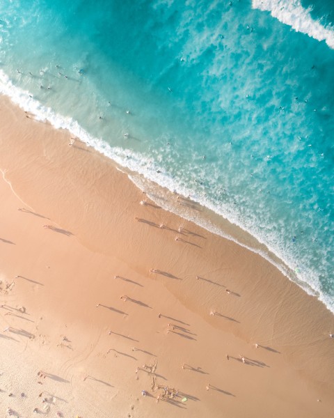 宁静优美的海岸风景图片