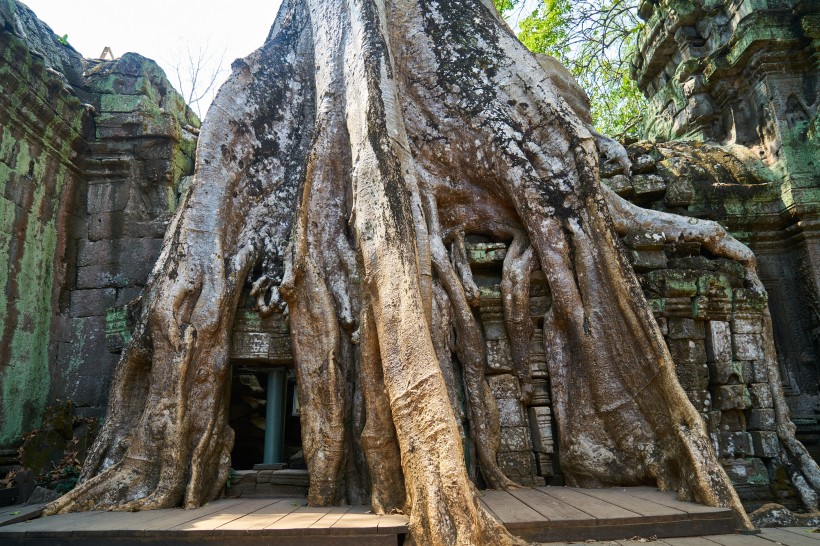 柬埔寨吴哥窟建筑风景图片