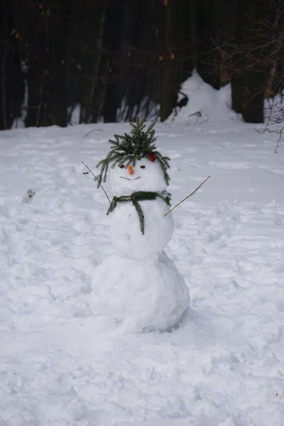 冬季雪人图片