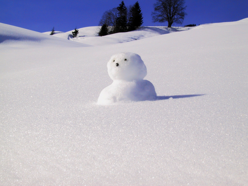 冬季雪人图片