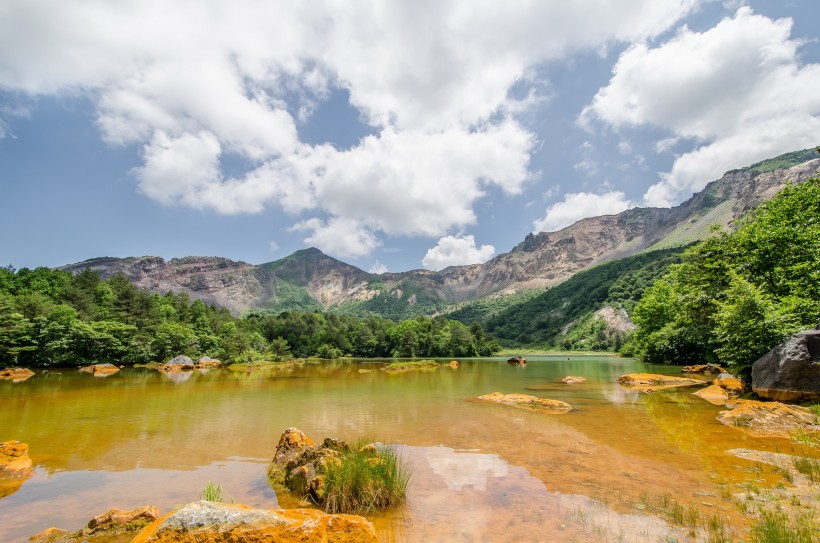 湿润的沼泽风景图片