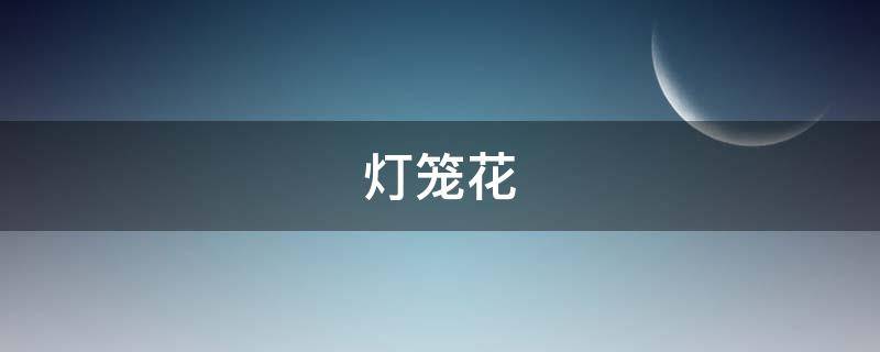 吊金钟，叶片