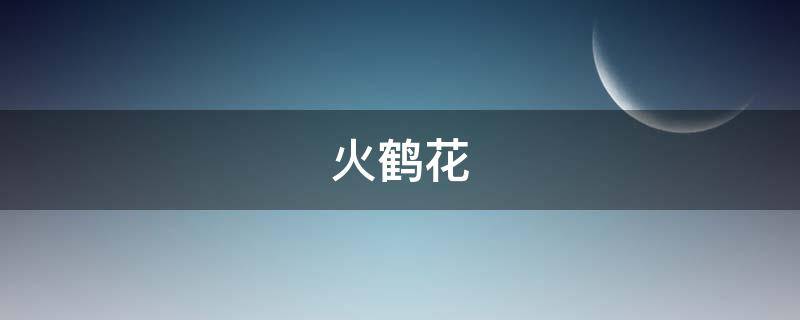 火鹤花，养殖