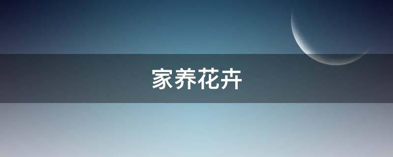 万年麻