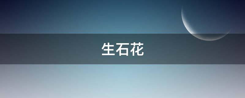 绿帝玉