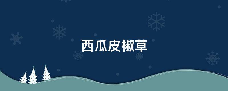 西瓜皮椒草叶片变小、泛黄退色、烂根落叶怎么办