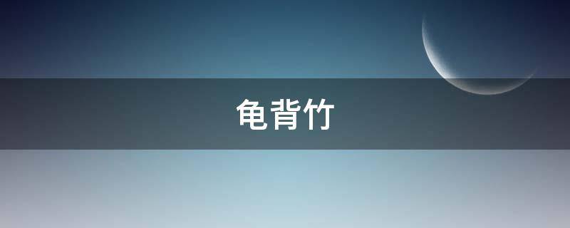 龟背竹除甲醛吗 详细了解天然空气净化器龟背竹