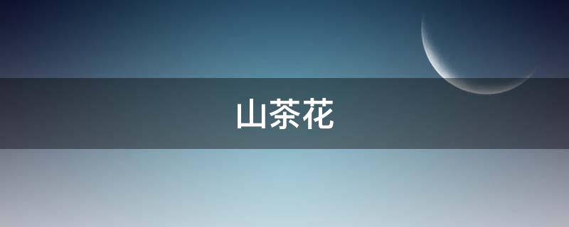 杜鹃