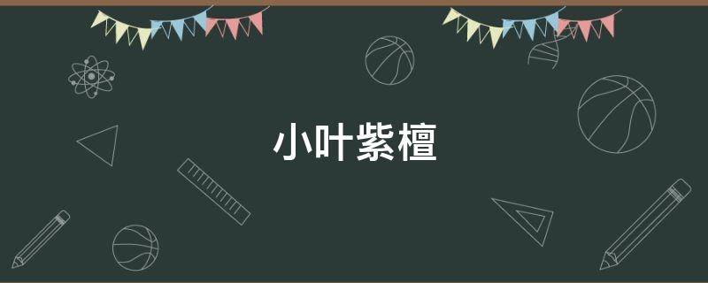 小叶紫檀冬天在户外能过冬吗 2到3年的小叶紫檀树怎么在室外过冬